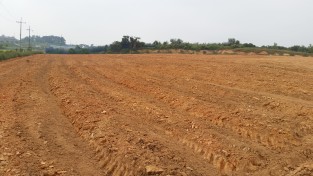 인삼약초연구소, “예정지 경운작업 서둘러야 토양이화학성 개선 가능”